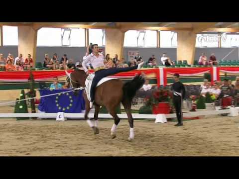 FEI European Vaulting Championships 2013 - Male Senior Compulsory 2nd Place - Stefan Csandl