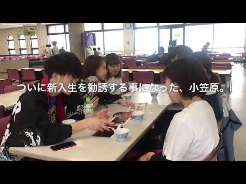 商学科 小樽商科大学"翔楽舞" 2019年 新入生歓迎会 予告動画