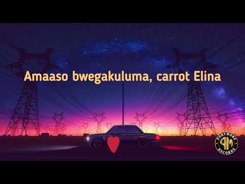 Ryko D'lyrical - Flight Mode (lyric video)