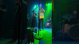 MUSTARD PLUG "SADIE MAY" FERNDALE 2024