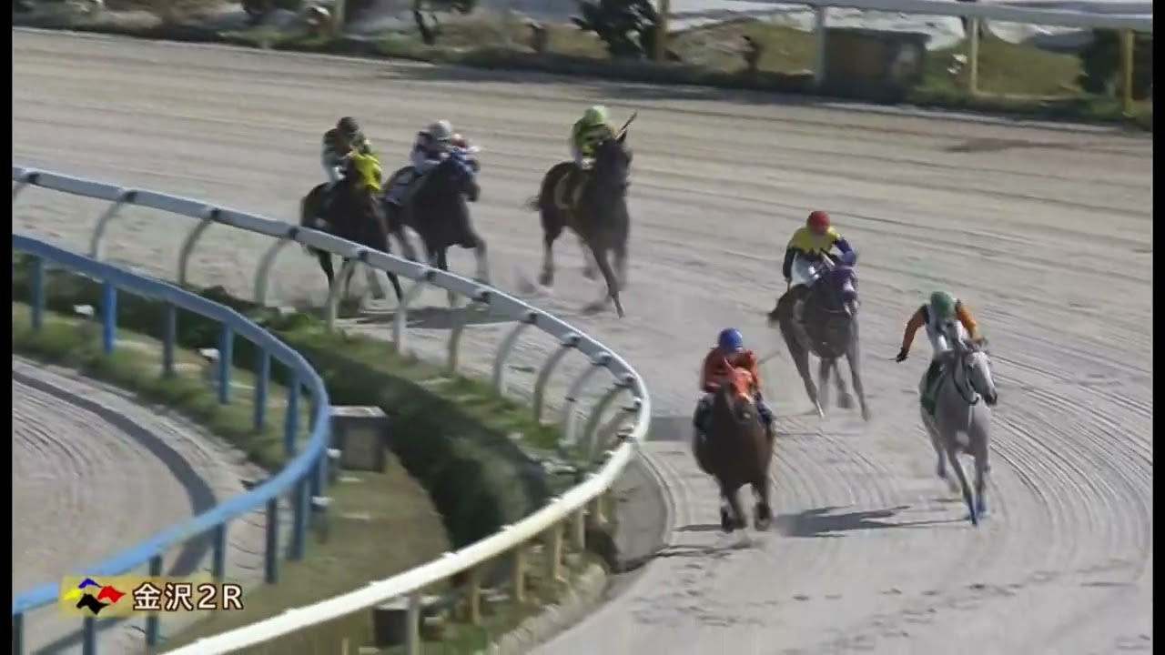 【激ヤバ金沢競馬】初めてのレースの新人ジョッキーの馬を八百長で勝たせた激ヤバレース【競りかけ無し】【楽逃げ】