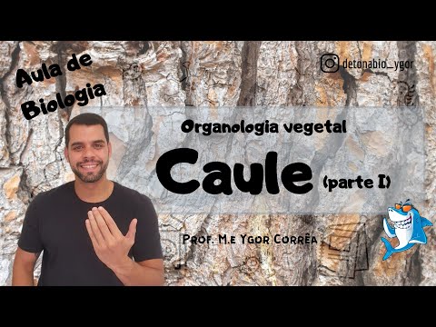 Botânica (Aula 15) - Organologia vegetal - Caule (parte I)
