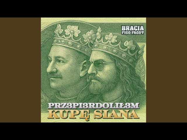 Bracia Figo Fagot - 1
