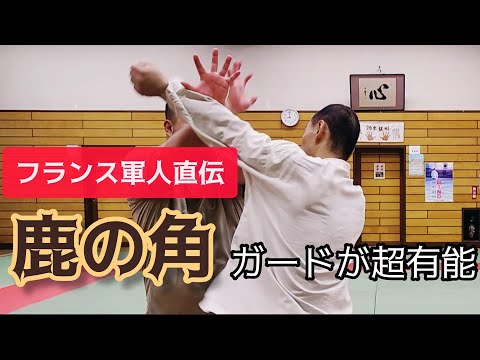 【護身術】フランス軍人直伝、鹿の角ガードが超有能だった！！