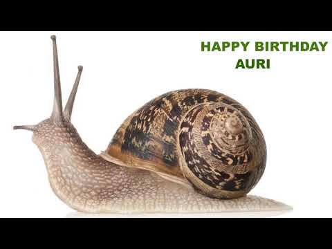 Auri  Animals & Animales - Happy Birthday