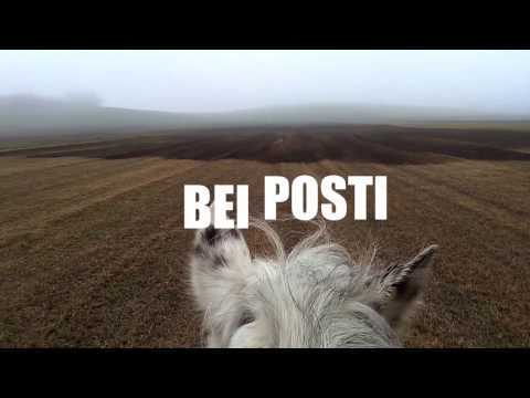 Il RANCH ARCORE BEI POSTI!