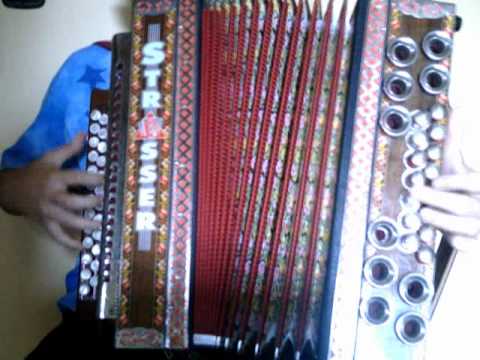 Stoariegler - Steirische Zieharmonika