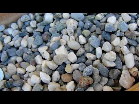 Sierra Black n White Quartz Pebbles 1/2 inch