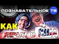 Как лечат в США (Познавательное ТВ, Нидас Ундровинас) 