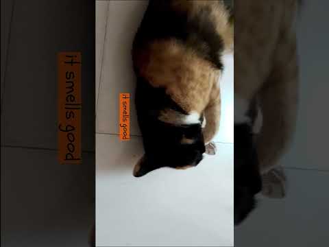 Addicted.....😀😍😃............anila....