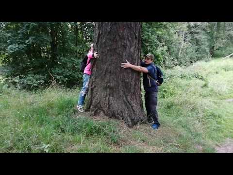 Музей-усадьба Приютино. Прогулки по Всеволожску. Авг.2019.