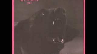 Recondite ‎– Iffy ( Full album )