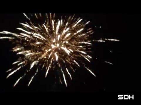 Cid49 03 2inch 49 shots Cake