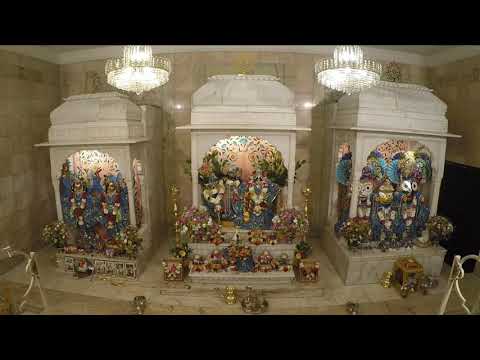 Sringara Arati and Morning Class SB 6.4.5 - Gopa Vrndesa Dasa - 22 February 2022