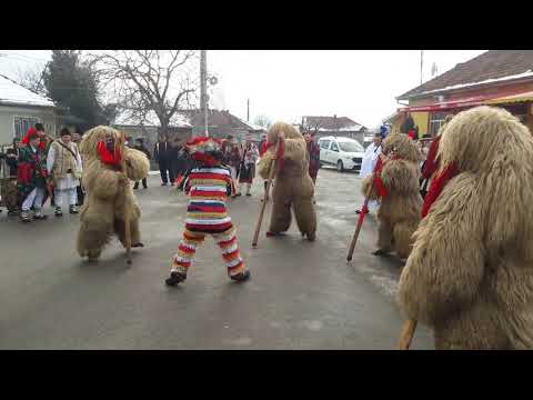 Colindători din Suceava în comuna  Jucu