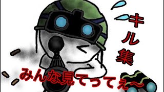 キル集だよ全員集合