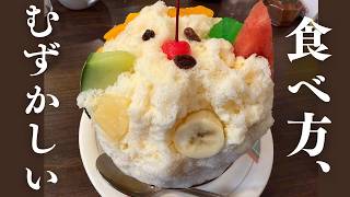【鹿児島】行列の元祖しろくま、覚悟してたら拍子抜け。皿の白熊、食べ方が難しい件|女ひとり旅