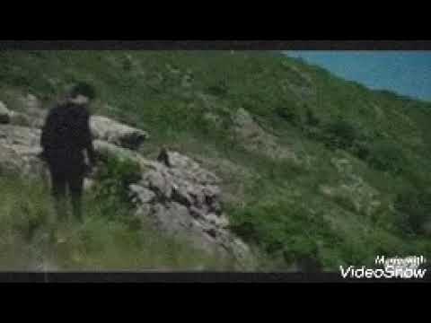 Kemal and Nihan вопреки