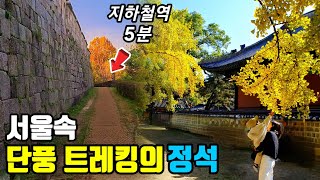 🚈 A 5km Autumn Foliage Trekking Course in Seoul, So Beautiful It Feels Like Watching an Autumn Drama / Great Walking Path / Seoul Trip / Public Transport Travel