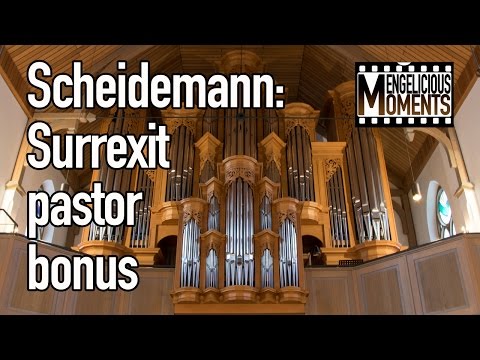 Heinrich Scheidemann: Surrexit Pastor Bonus - David Boos, organ