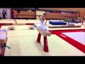 Pommel Horse Czechkehr Gymnastics Video