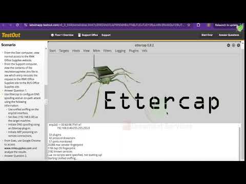 Network Pro 12.6.6 TestOut Poison DNS