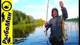 Когда лучше клюет с утра или вечером
