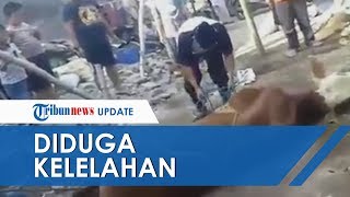 Penyebab Penjagal Meninggal Dunia saat Hendak Memotong Sapi, Bukan karena Ditendang