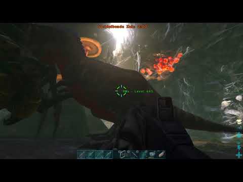 Ark Boss kampf spinne