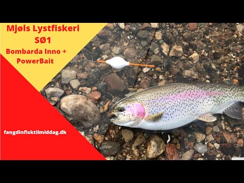 Mjøls Lystfiskeri – SØ1 i dag søndag den 14. marts – PowerBait