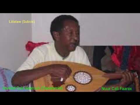 Heesta Liilalaw ee uu qaado Axmed Dararamle