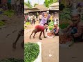 Arvind Kejriwal Harne Ke Bad Dekh Rahe Hain Bajar Mein Sabse Funnycomedy Punjabisong Dance Love