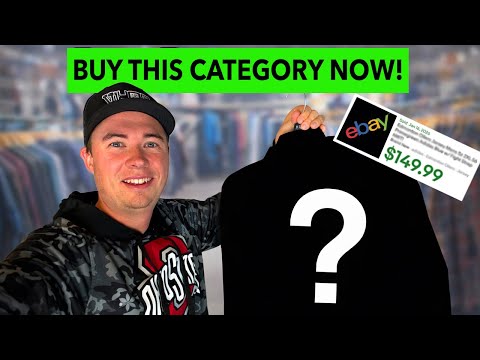 Ich habe eine neue eBay-Kategorie entdeckt, in der Artikel für 100-150 Dollar pro Stück verkauft ...