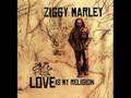 Ziggy Marley - Black Cat [Love Is My Religion]