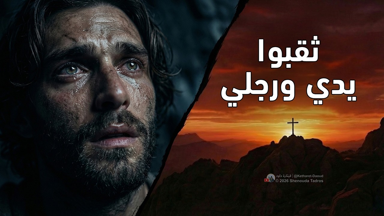 فيديو تفسير الكتاب المقدس | الكتاب المقدس رفيقي
