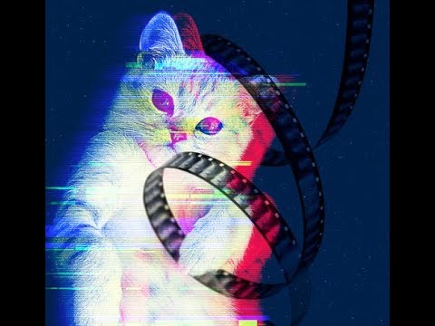 CatVideoFest 2020 (2020) Trailer