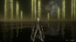 Elden Ring - Defeating the Elden Beast