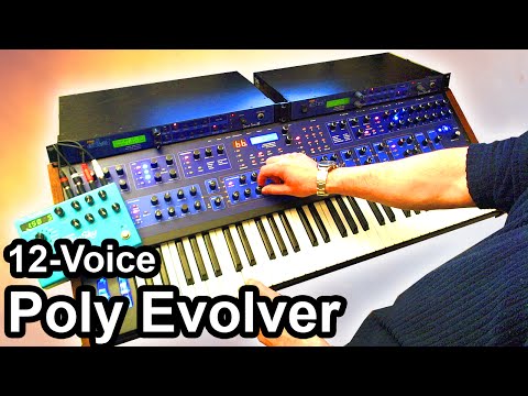 DSI POLY EVOLVER (12 Voices) - Ambient Industrial Noise Music - Dave Smith Instruments 【SYNTH DEMO】