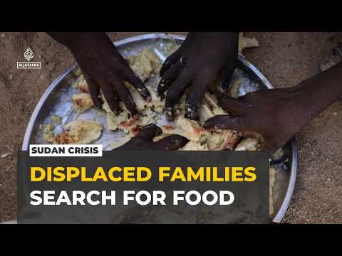 Sudan’s displaced families face hunger and repeated displacement, Norwegian Refugee Council warns