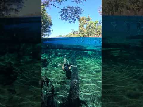 Só mais um dia normal na Lagoa do Japonês no Tocantins.