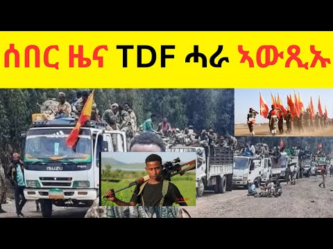 EXCLUSIVE    ሰበር ዜና TDF ሓራ ኣውጺኡ