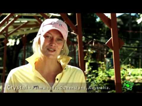 download lagu mp3 mp4 Organic Salad Delivery, download lagu Organic Salad Delivery gratis, unduh video klip Organic Salad Delivery