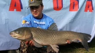 Nada pentru amur si metode de nadire de la MG Special Carp