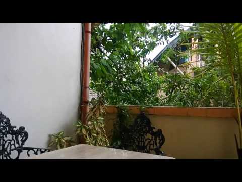 Alcatel Flash 2 Sample Video Footages