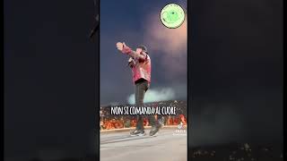 Senza Parole  - Vasco Rossi | Live  #senzaparole #vascorossi #live #concerto #livemusic