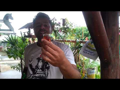 **** BOM DIA  ///// GARRAFADA DE CACHAÇA """" CURA 100 DOENÇAS """'........ SAÚDE ALTERNATIVA !