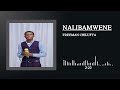 NALIBAMWENE FREEMAN CHILUFYA