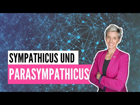 Sympathicus und Parasympathicus: Das ist der Unterschied!