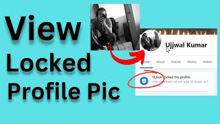 How to View Locked Profile Pictures on Facebook on PC 2024