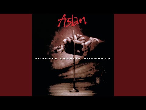 Rainman - Aslan